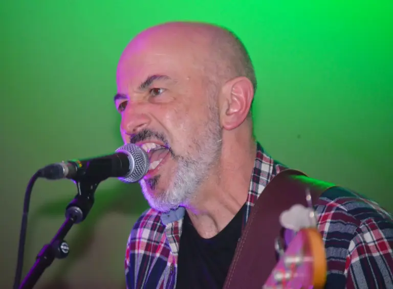 Bearded singer in a checked shirt singing into a microphone against a green light