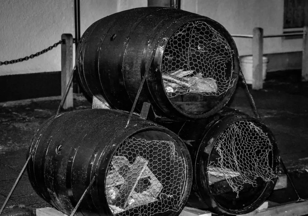 Black and white photo of the wooden tar barrels stacked and waiting, packed with fuel behind wire mesh
