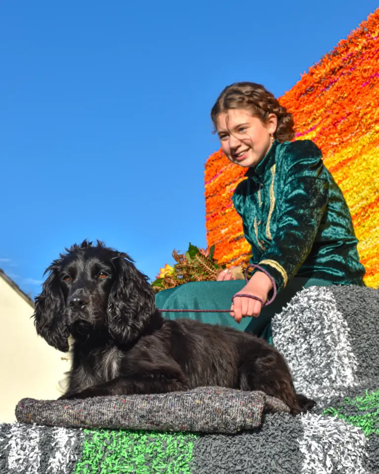 Black spaniel lying beside the carnival queen on her float