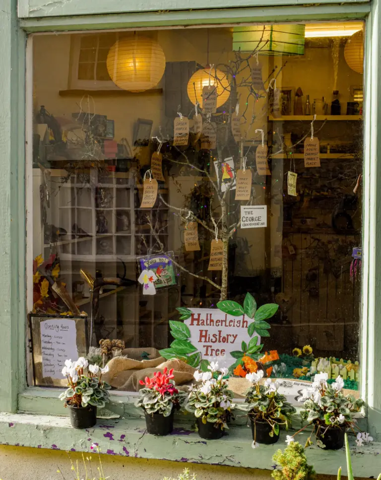 Shop window with a Hatherleigh History Tree and paper lanterns